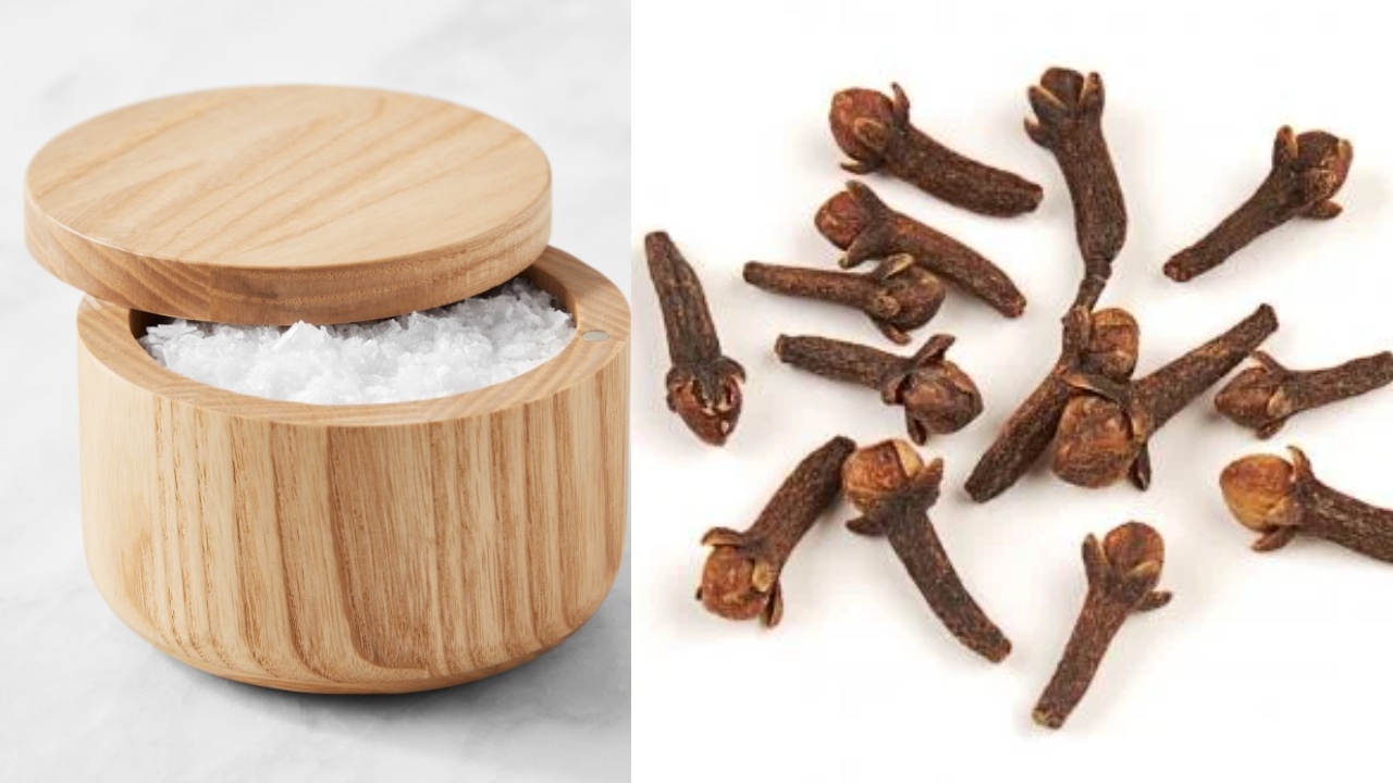 Salt container